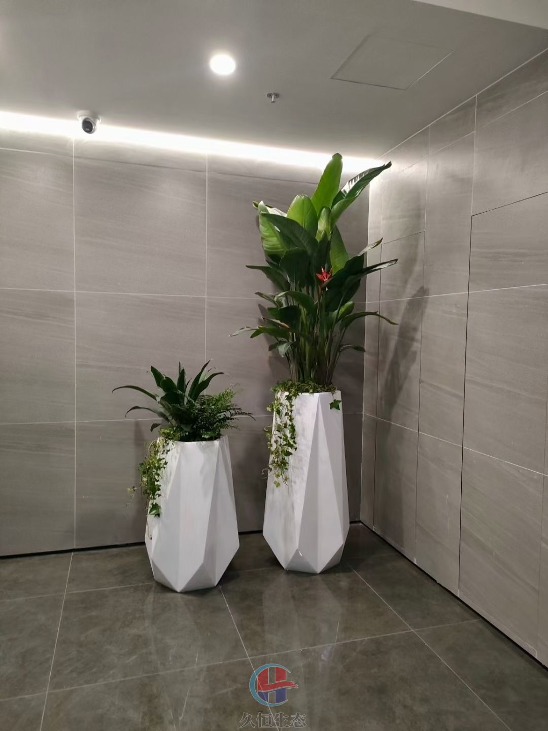 办公室绿植摆放